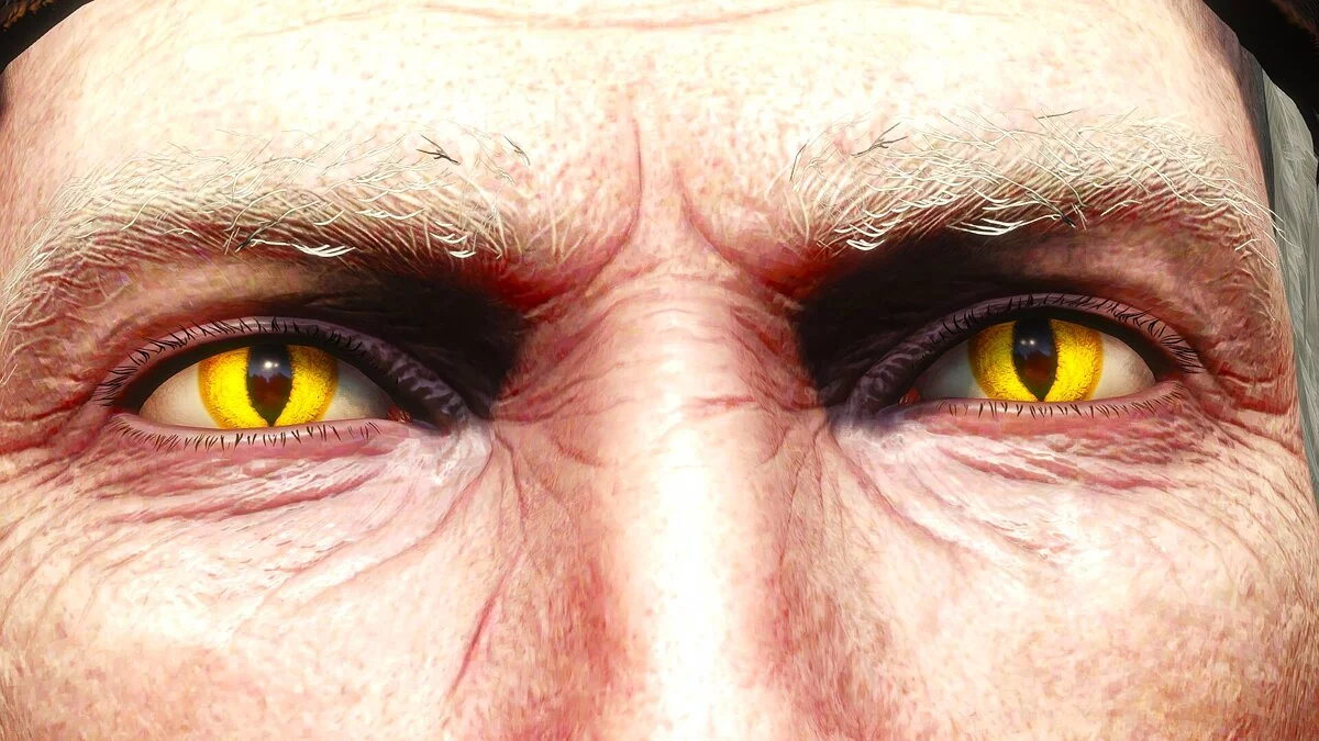 The Witcher 3: Wild Hunt — Realistic eyes in 4K