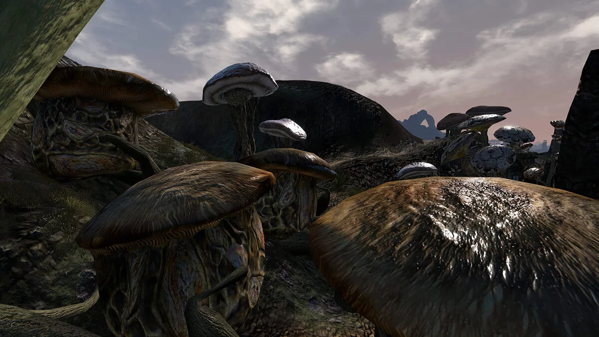 Elder Scrolls 3: Morrowind — Normal Map PBR - Улучшение текстур