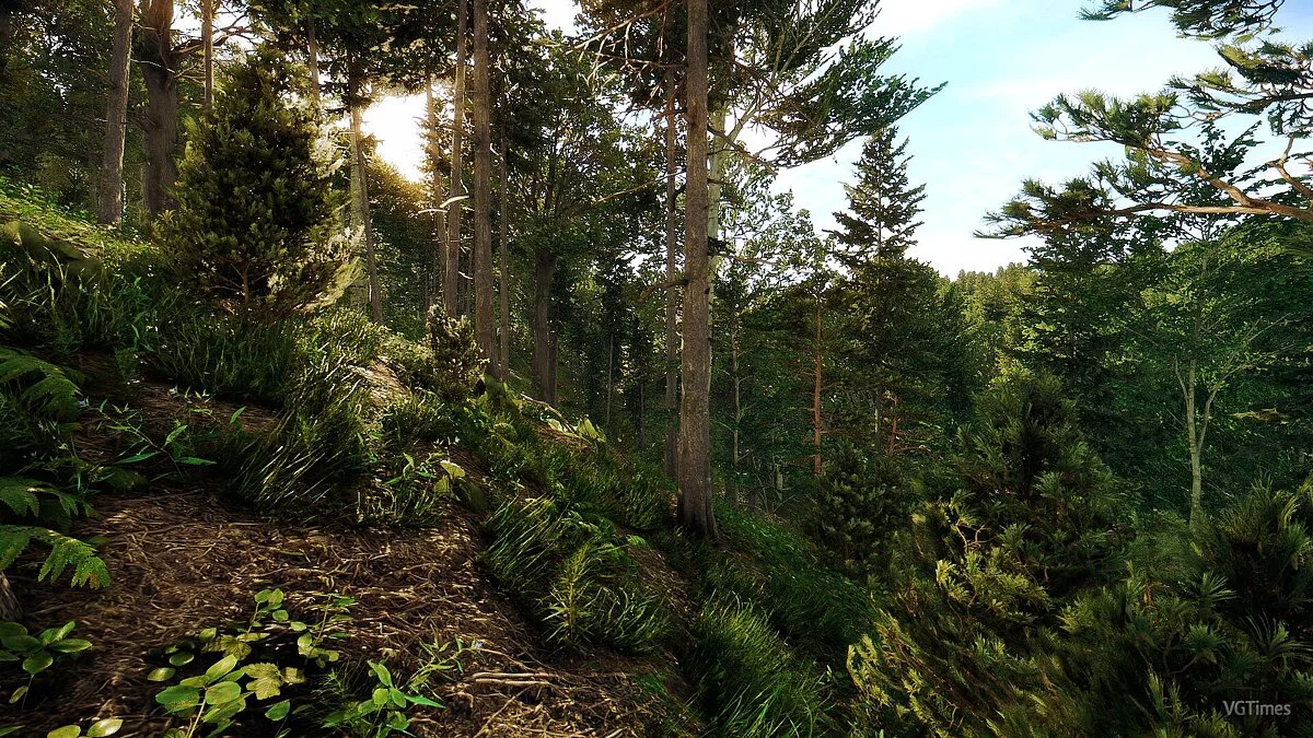 Kingdom Come: Deliverance — Фотореалистичная графика