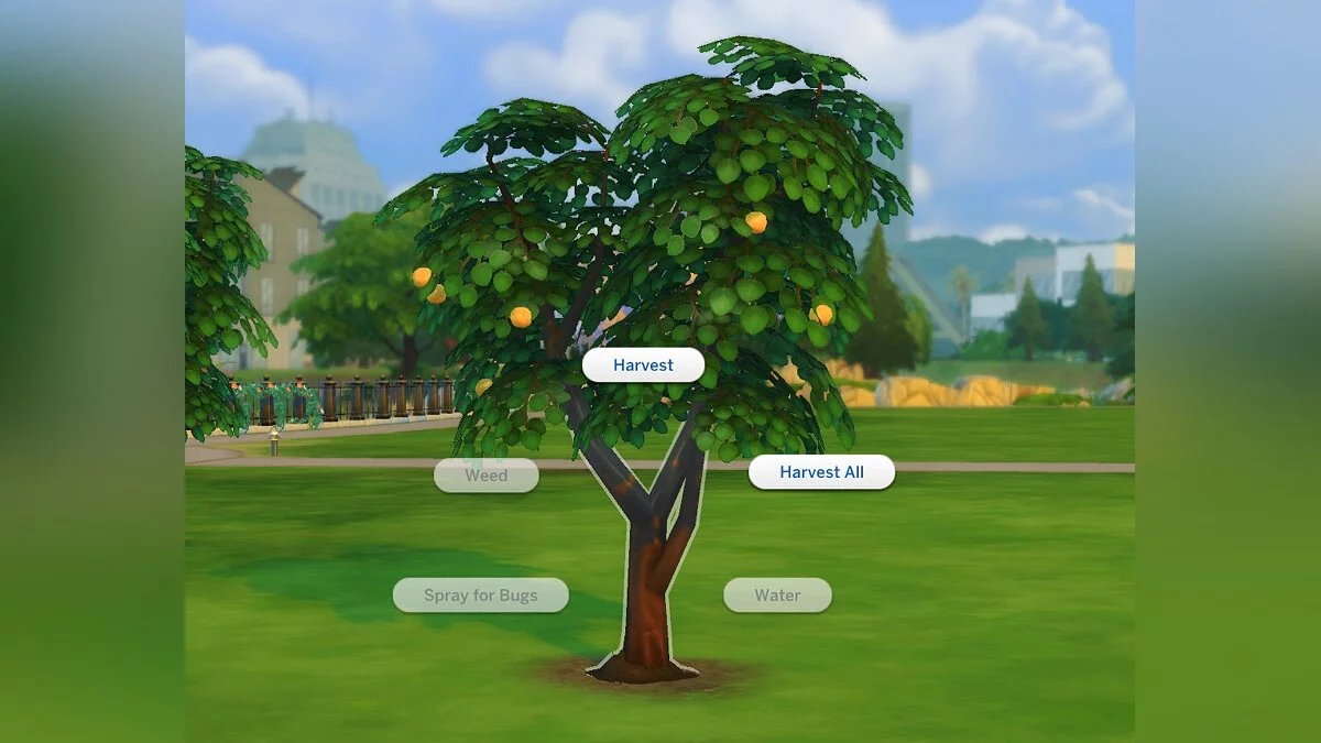 The Sims 4 — Orange tree