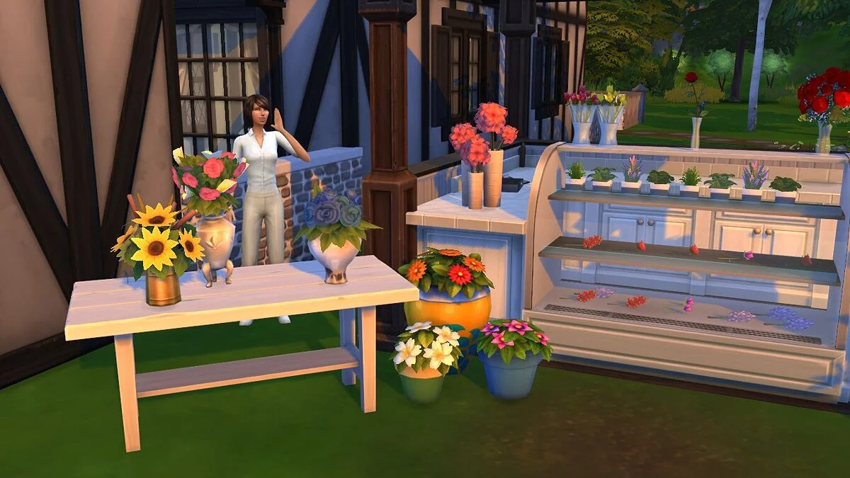 The Sims 4 — Модернізоване обладнання торгівлі будь-де