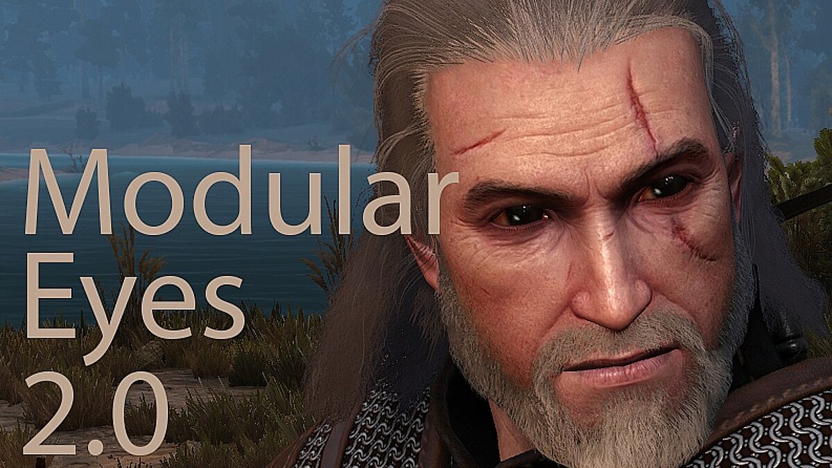 The Witcher 3: Wild Hunt — Modular eyes