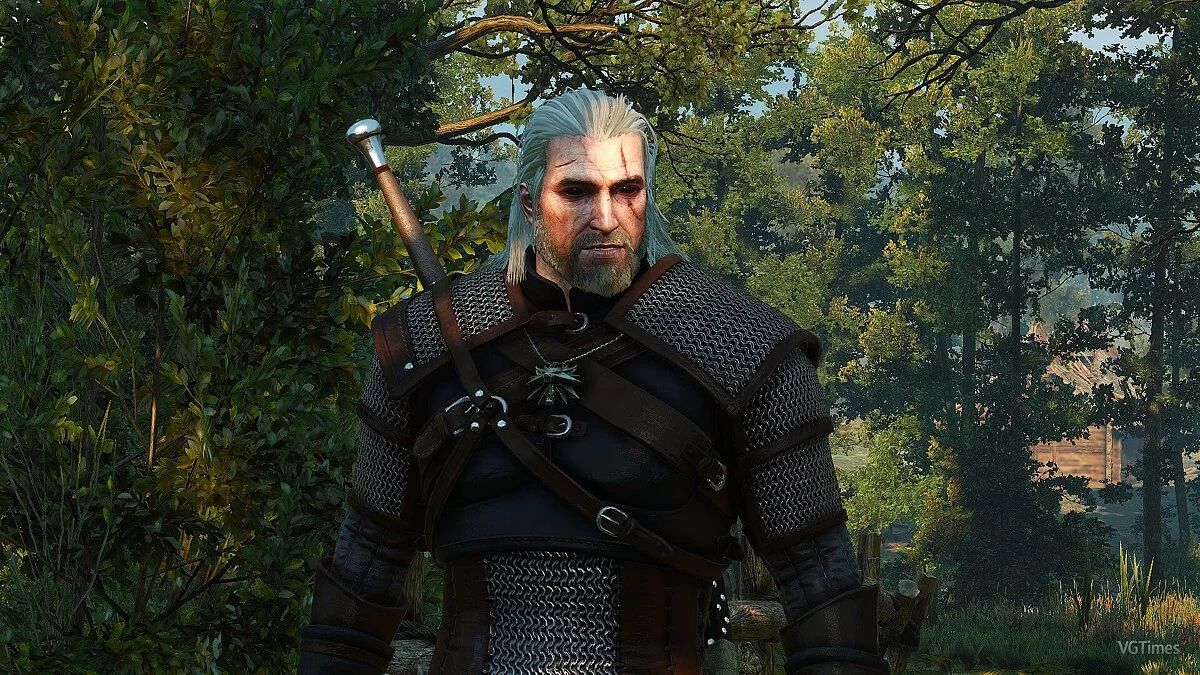The Witcher 3: Wild Hunt — Модульные глаза