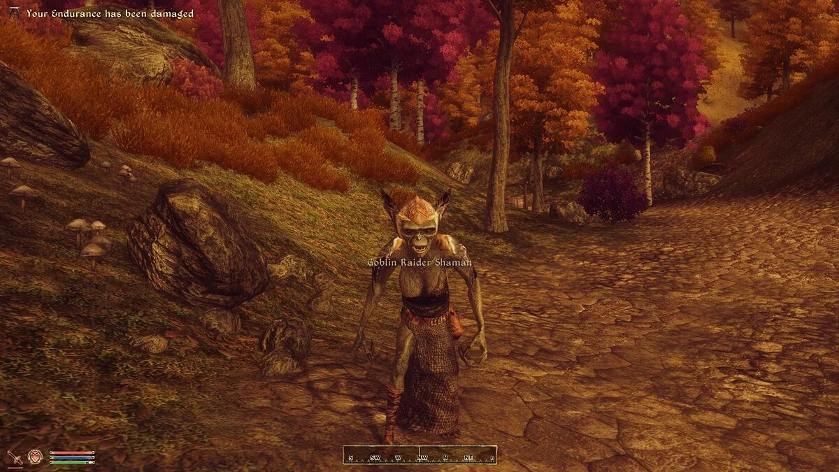 The Elder Scrolls 4: Oblivion — Случайные встречи на дорогах