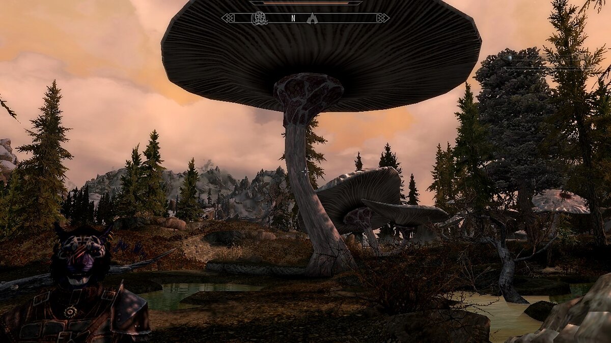 The Elder Scrolls 5: Skyrim Legendary Edition — Mushrooms in Eastmarch Warm Springs