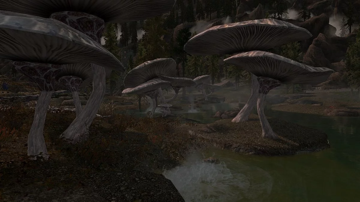 The Elder Scrolls 5: Skyrim Legendary Edition — Гриби у теплих джерелах Істмарк