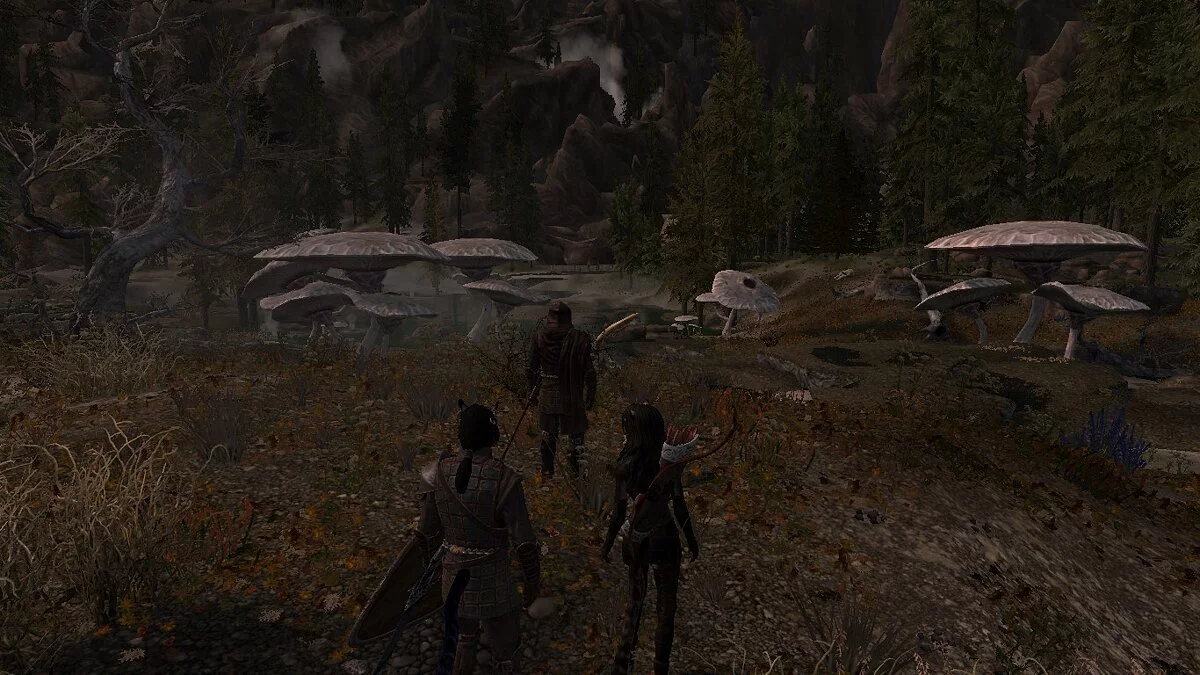 The Elder Scrolls 5: Skyrim Legendary Edition — Гриби у теплих джерелах Істмарк