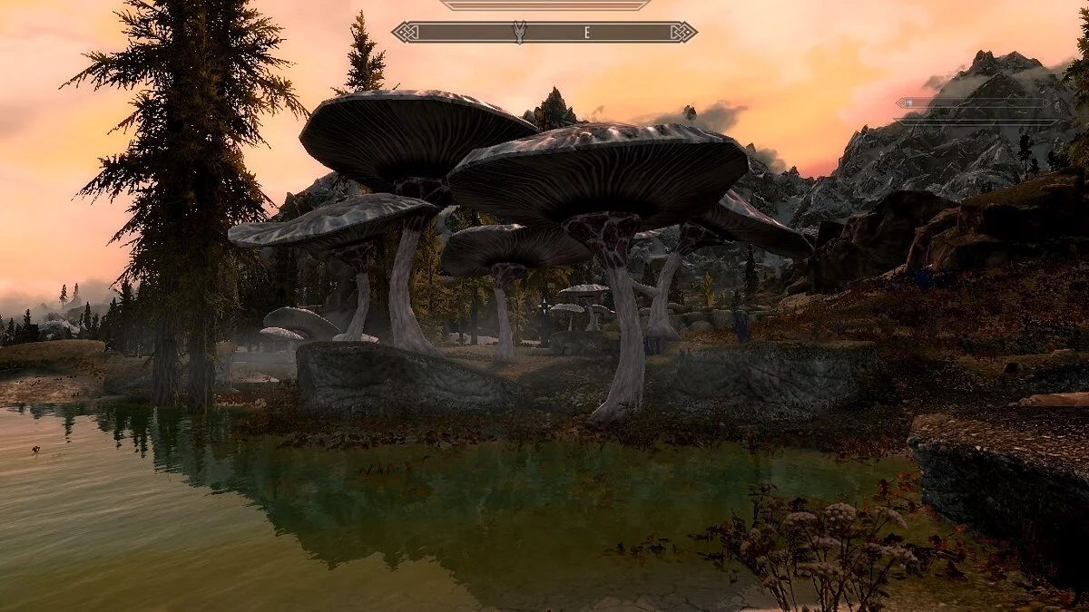 The Elder Scrolls 5: Skyrim Legendary Edition — Гриби у теплих джерелах Істмарк