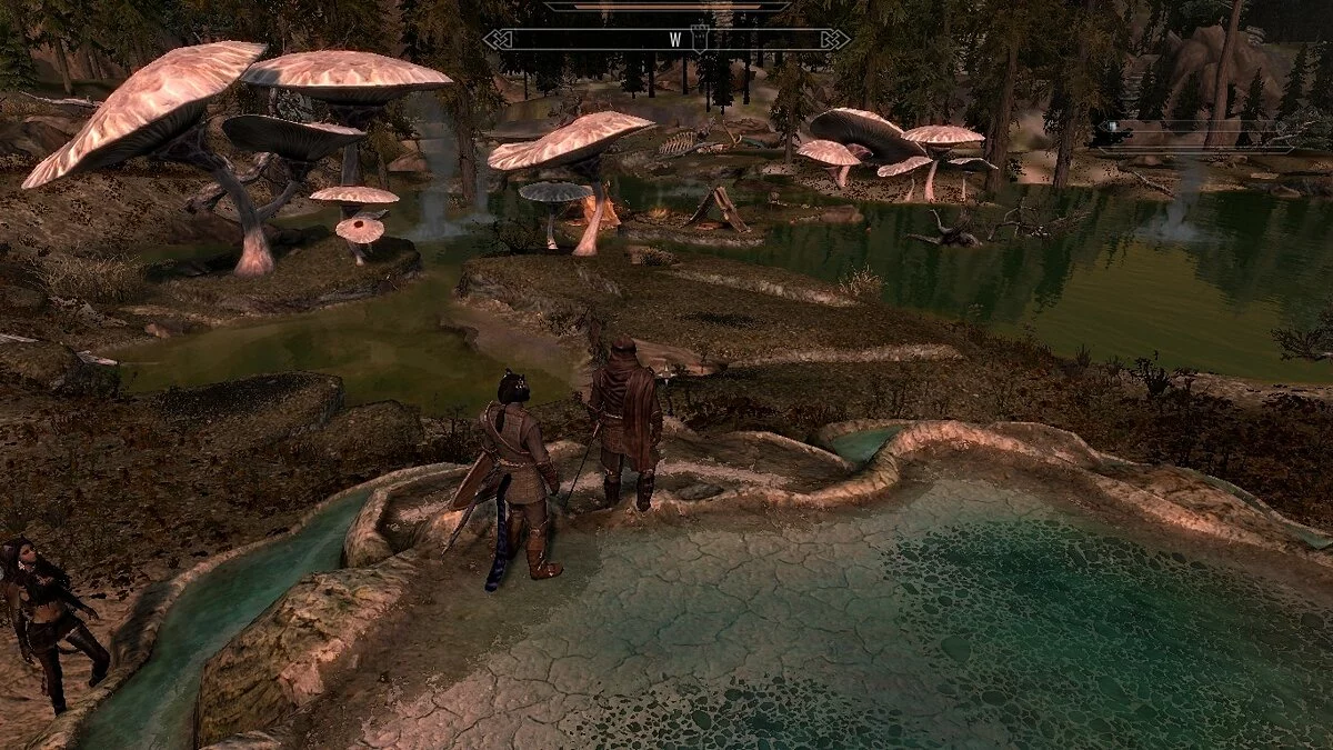 The Elder Scrolls 5: Skyrim Legendary Edition — Гриби у теплих джерелах Істмарк