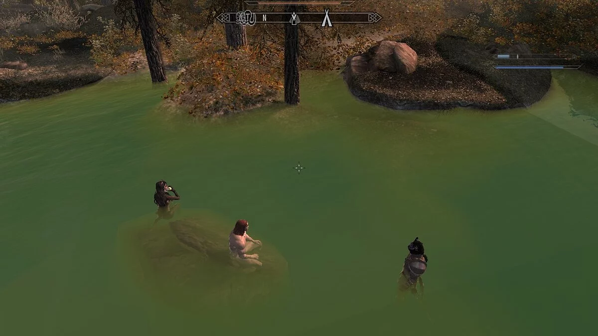 The Elder Scrolls 5: Skyrim Legendary Edition — Место для отдыха в источниках Истмарк