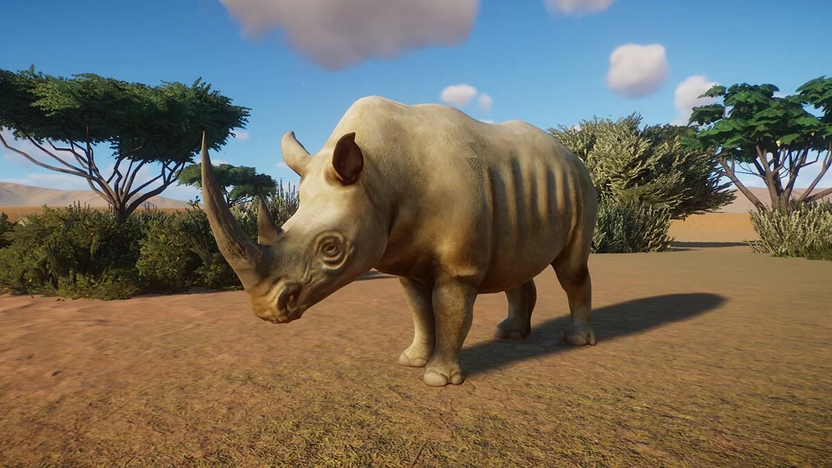 Planet Zoo — White rhinoceros