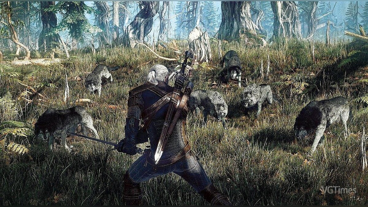 The Witcher 3: Wild Hunt — Friendly wolves