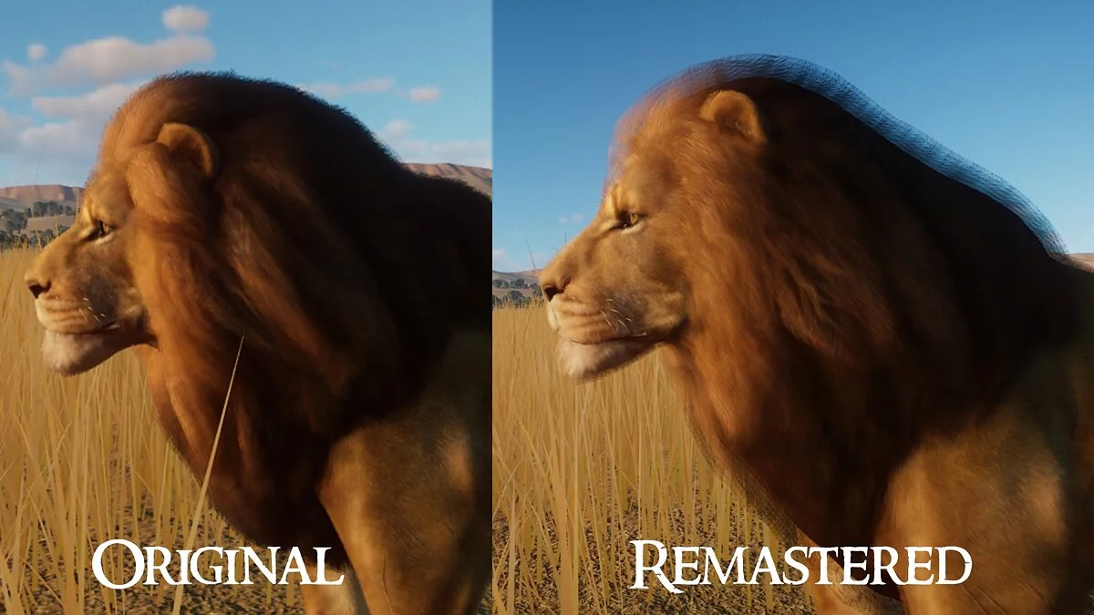 Planet Zoo — Ремастер западноафриканского льва