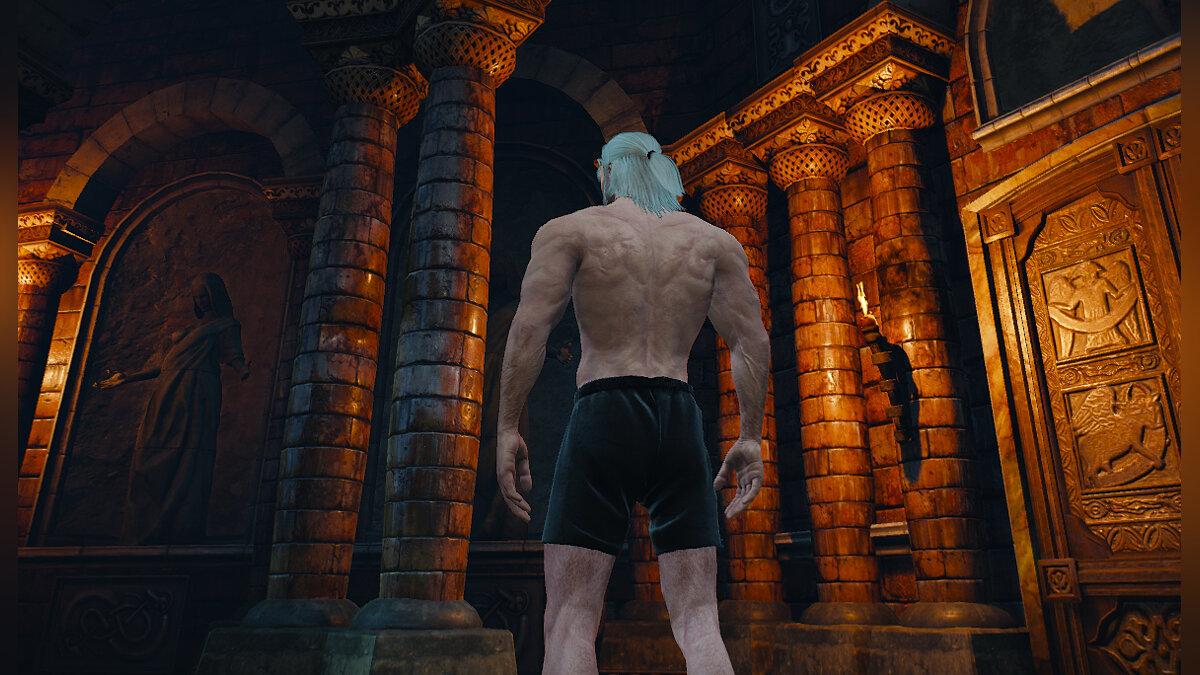 The Witcher 3: Wild Hunt - Complete Edition — Black boxers