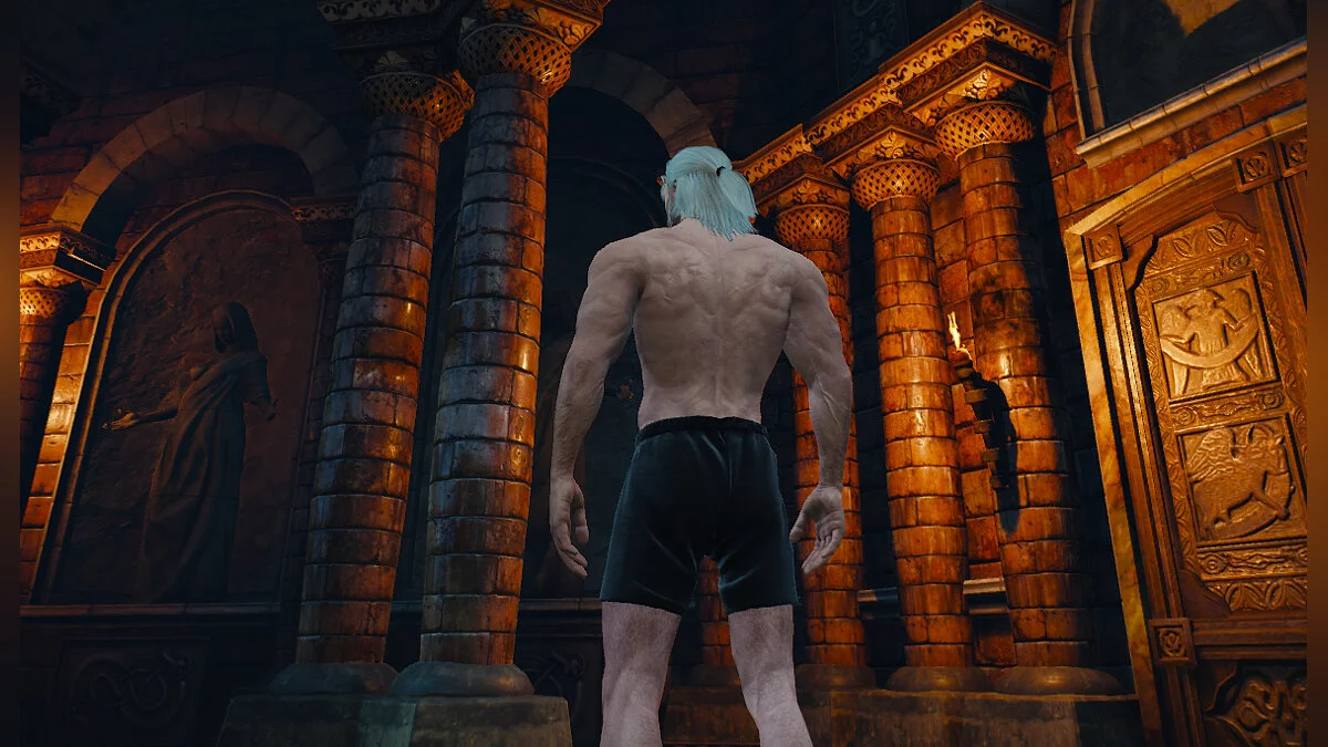 The Witcher 3: Wild Hunt - Complete Edition — Black boxers