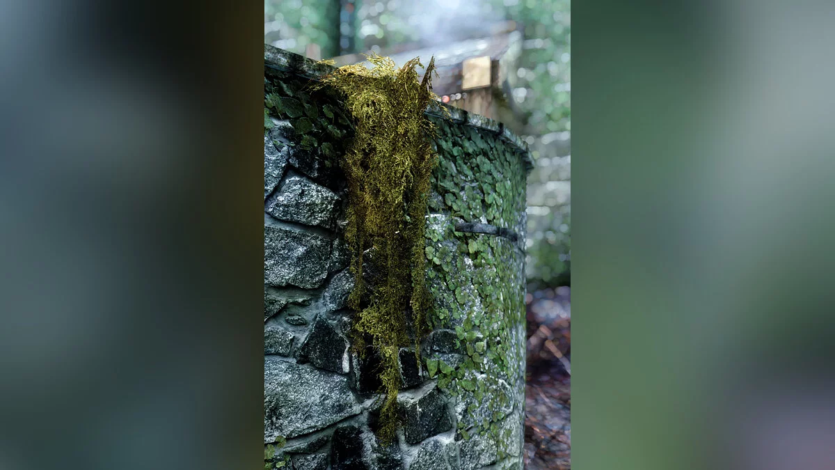 The Elder Scrolls 5: Skyrim Legendary Edition — Hanging moss in 2K