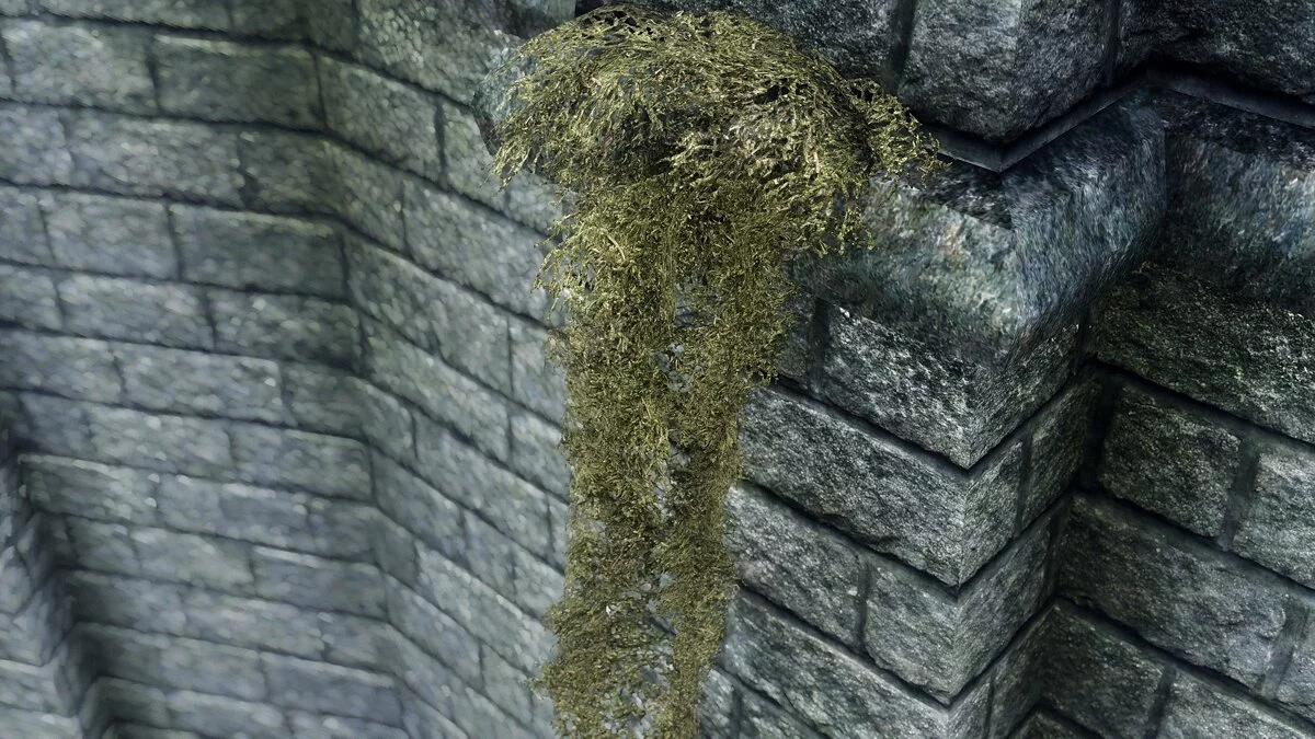 The Elder Scrolls 5: Skyrim Legendary Edition — Висячий мох в 2K