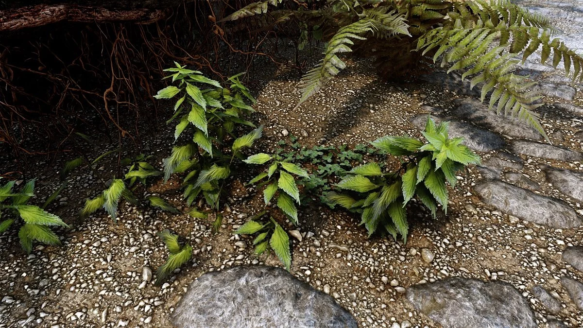 Elder Scrolls 5: Skyrim Special Edition — Покращена кропива