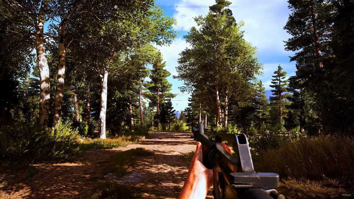 Far Cry 5 — Реалистичная графика