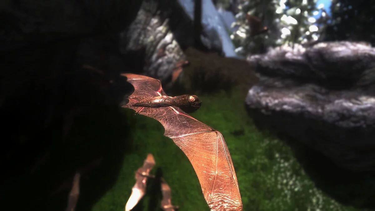 Elder Scrolls 5: Skyrim Special Edition — Кажани в HD