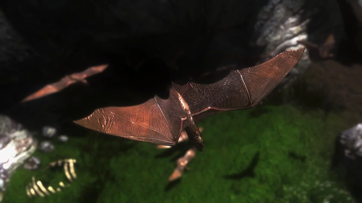 Elder Scrolls 5: Skyrim Special Edition — Кажани в HD