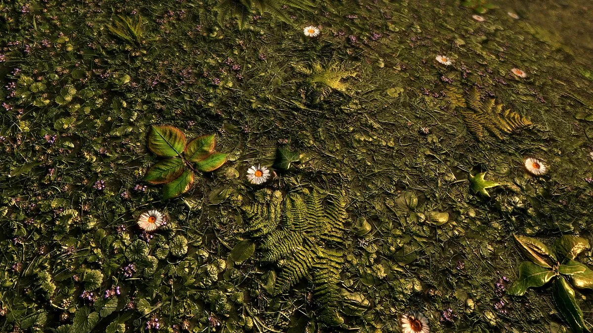 Elder Scrolls 5: Skyrim Special Edition — Улучшенные поля с травой