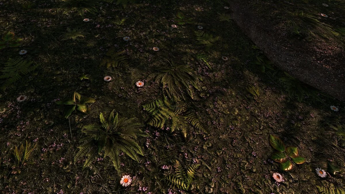 Elder Scrolls 5: Skyrim Special Edition — Улучшенные поля с травой