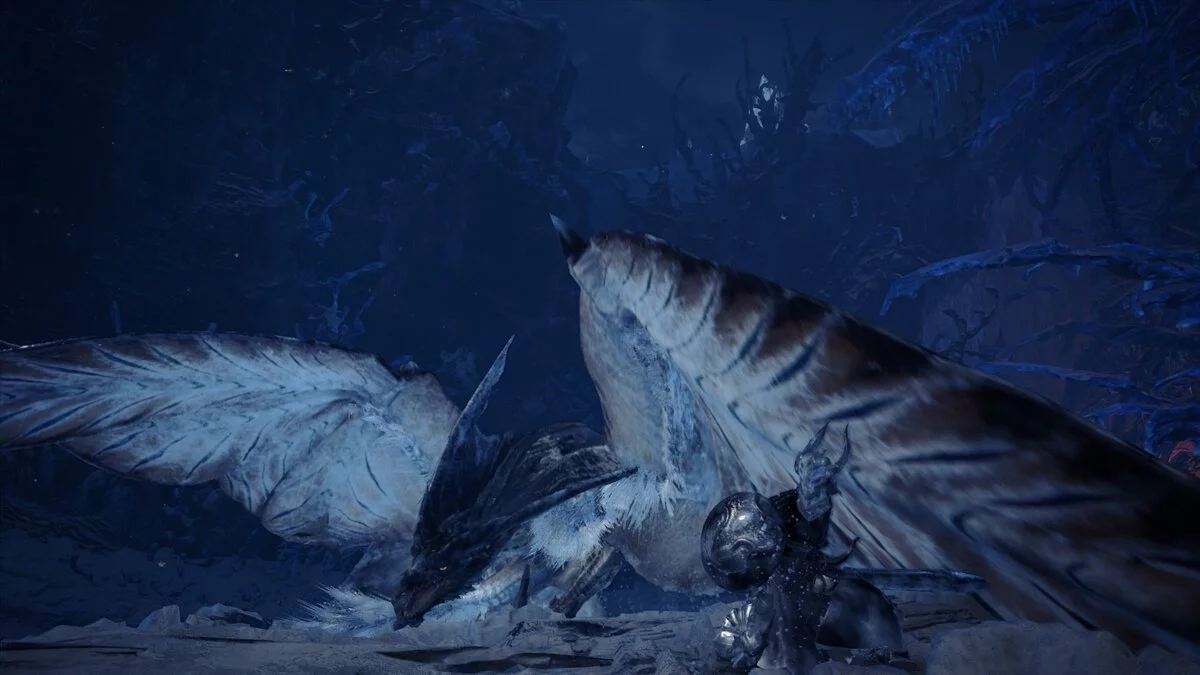 Monster Hunter: World — Щит із зображенням медузи