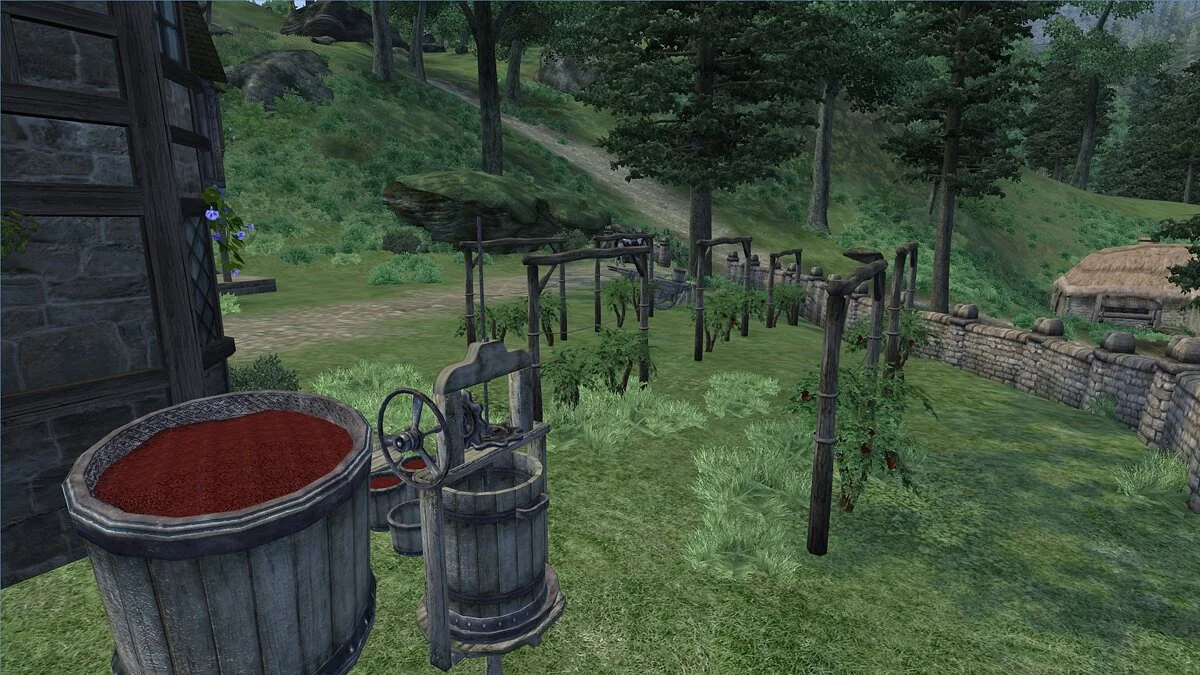 The Elder Scrolls 4: Oblivion — Власний старовинний маєток