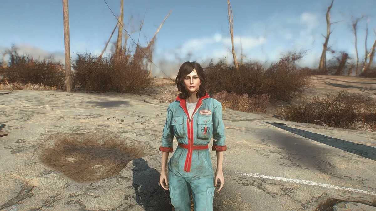 Fallout 4: Game of the Year Edition — Compañera sara