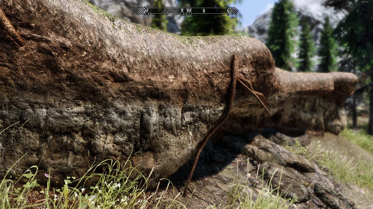 Elder Scrolls 5: Skyrim Special Edition — Скалы в 2K