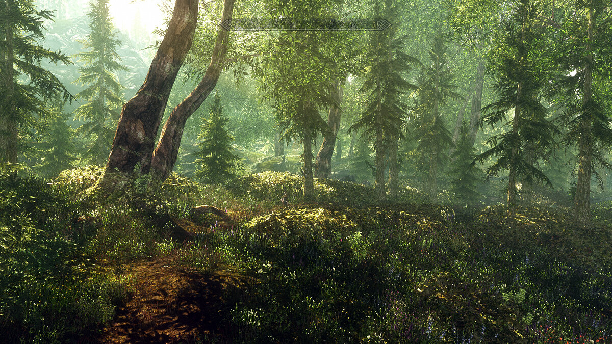 The Elder Scrolls 5: Skyrim Legendary Edition — New bushes and trees