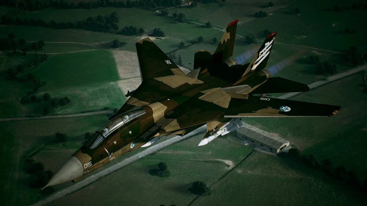Ace Combat 7: Skies Unknown — Коричневый камуфляж для F-14D