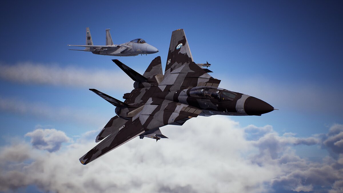 Ace Combat 7: Skies Unknown — Gray camouflage for F-14D