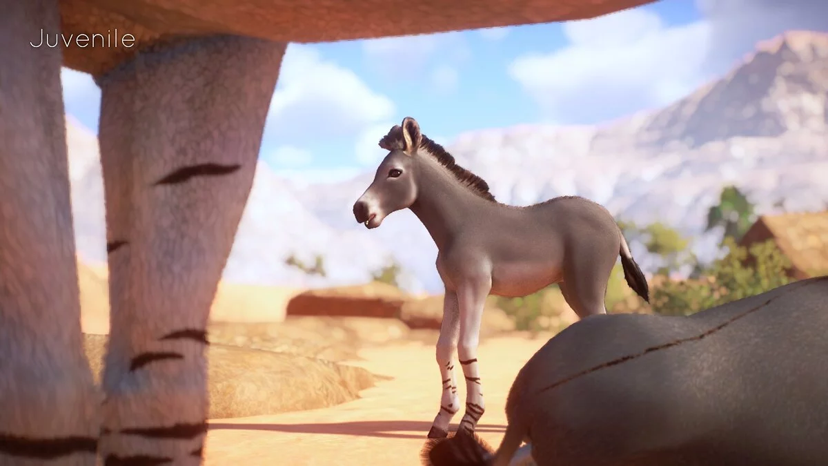 Planet Zoo — Сомалійський дикий осел