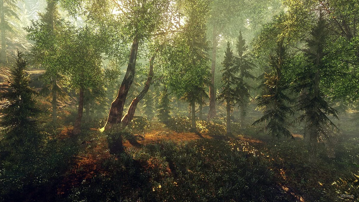 The Elder Scrolls 5: Skyrim — New trees and bushes