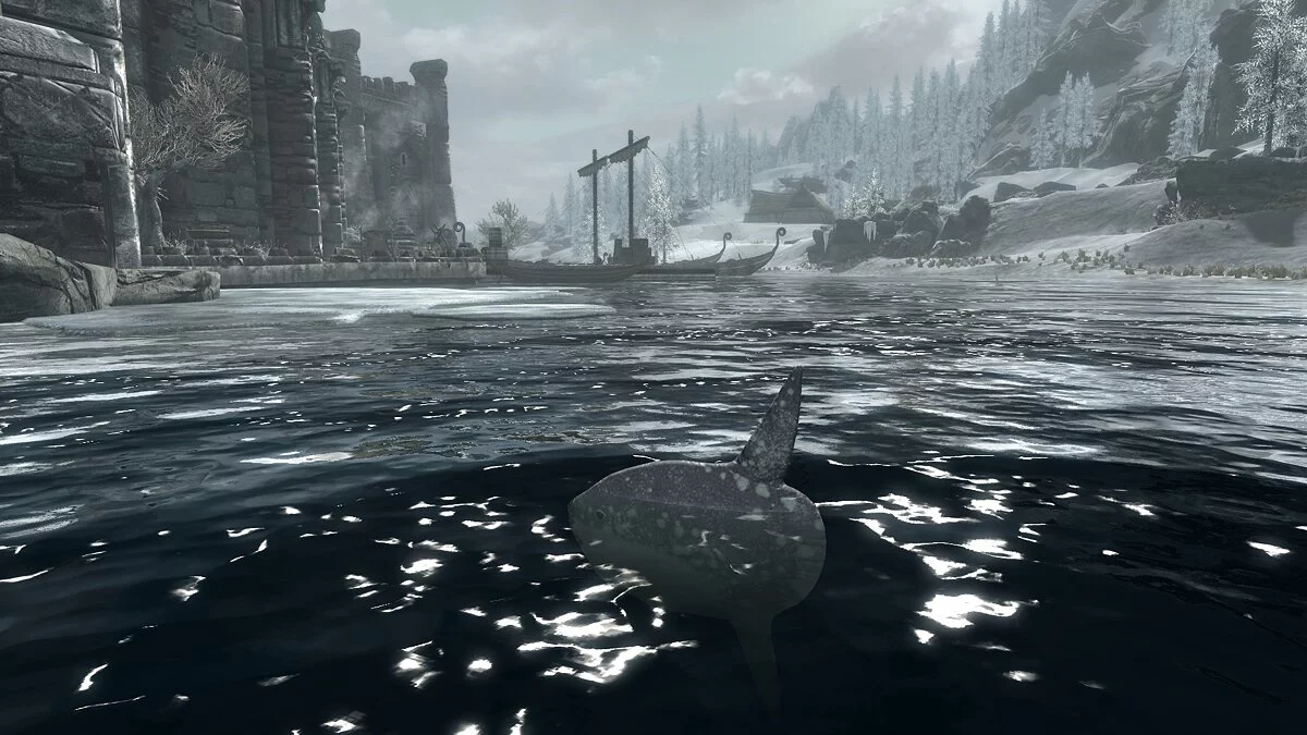 Elder Scrolls 5: Skyrim Special Edition — Рыба-луна