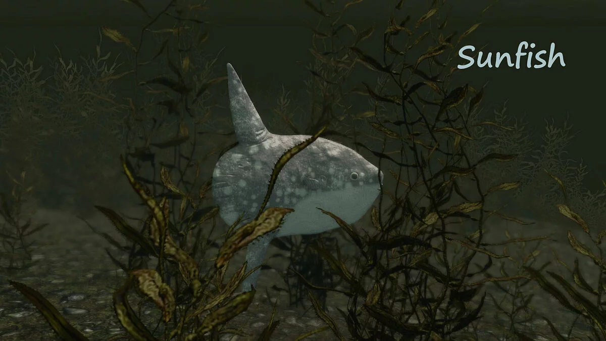 Elder Scrolls 5: Skyrim Special Edition — Рыба-луна