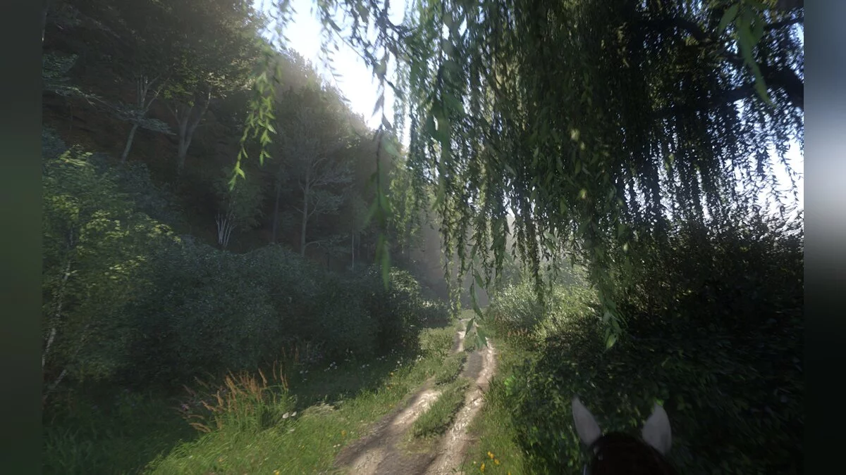 Kingdom Come: Deliverance — Мінімалістичний HUD