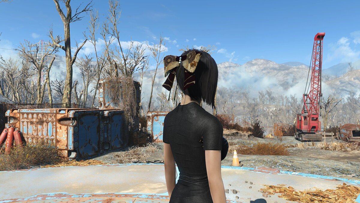 Fallout 4: Game of the Year Edition — Hair ribbons