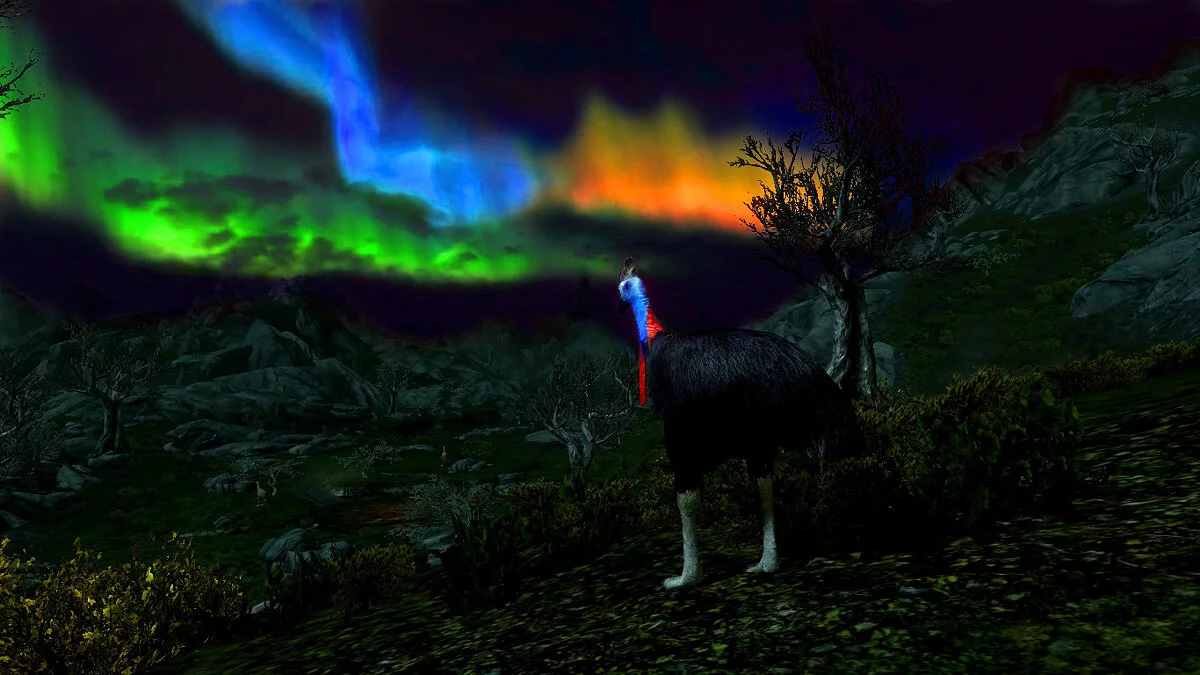 The Elder Scrolls 5: Skyrim Legendary Edition — Казуары