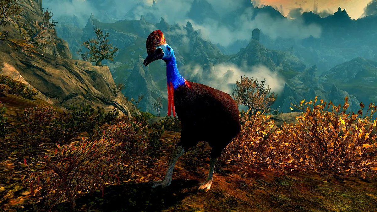 The Elder Scrolls 5: Skyrim Legendary Edition — Cassowaries