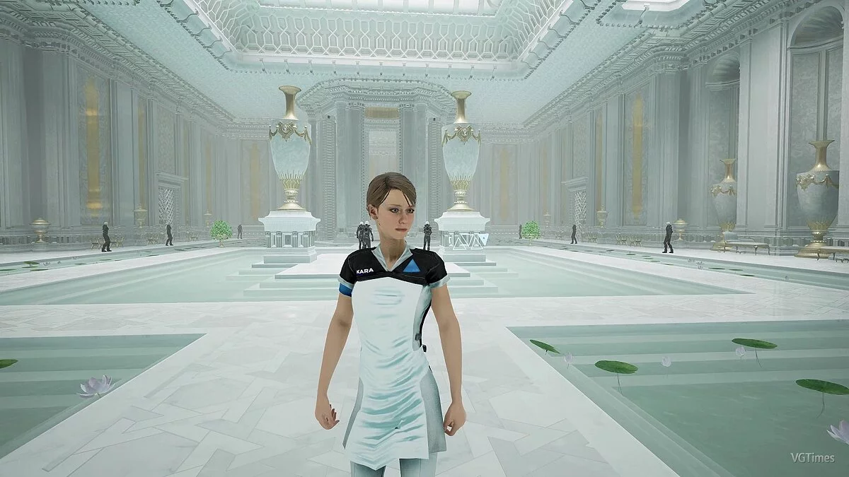 ECHO — Кара з Detroit Become Human