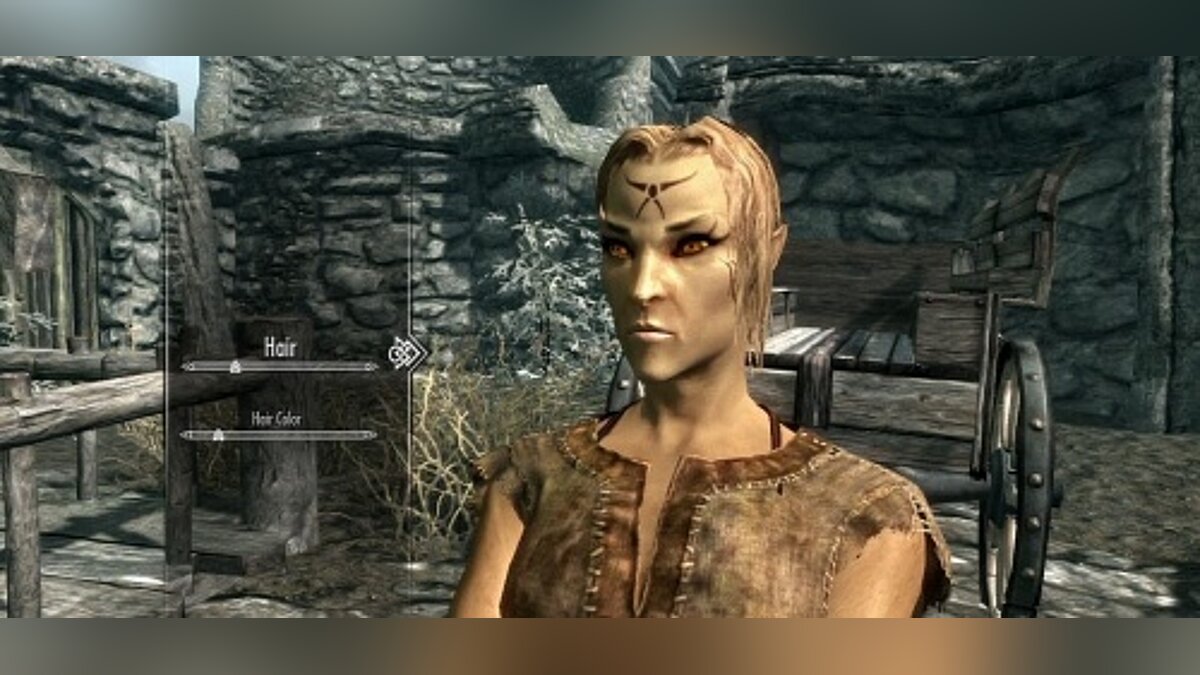 The Elder Scrolls 5: Skyrim — Ability to rotate the camera during calls