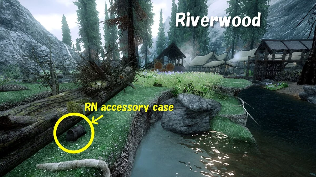 The Elder Scrolls 5: Skyrim Legendary Edition — Заколки для волос