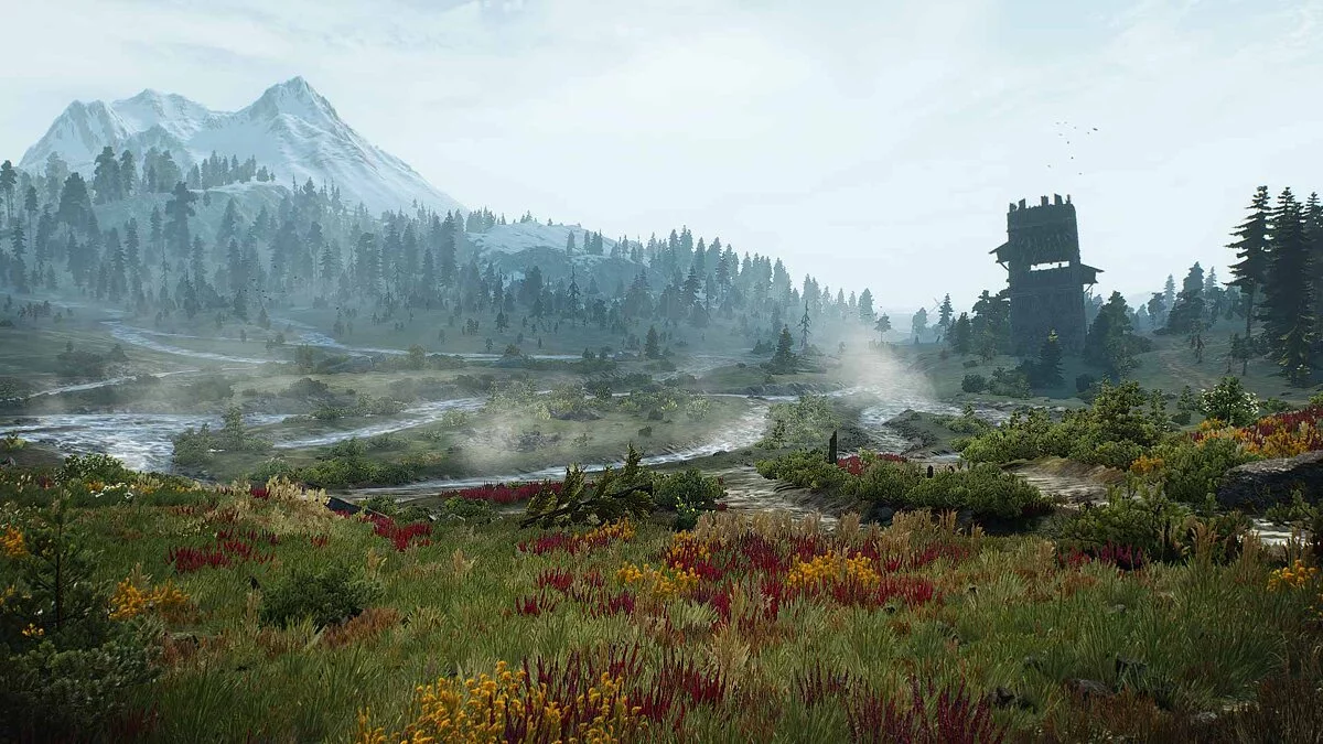 The Witcher 3: Wild Hunt - Complete Edition — Advanced graphics settings