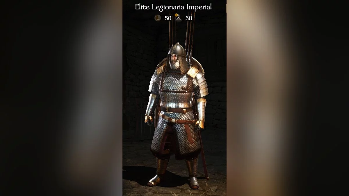 Mount & Blade 2: Bannerlord — Імперські війська та обладунки