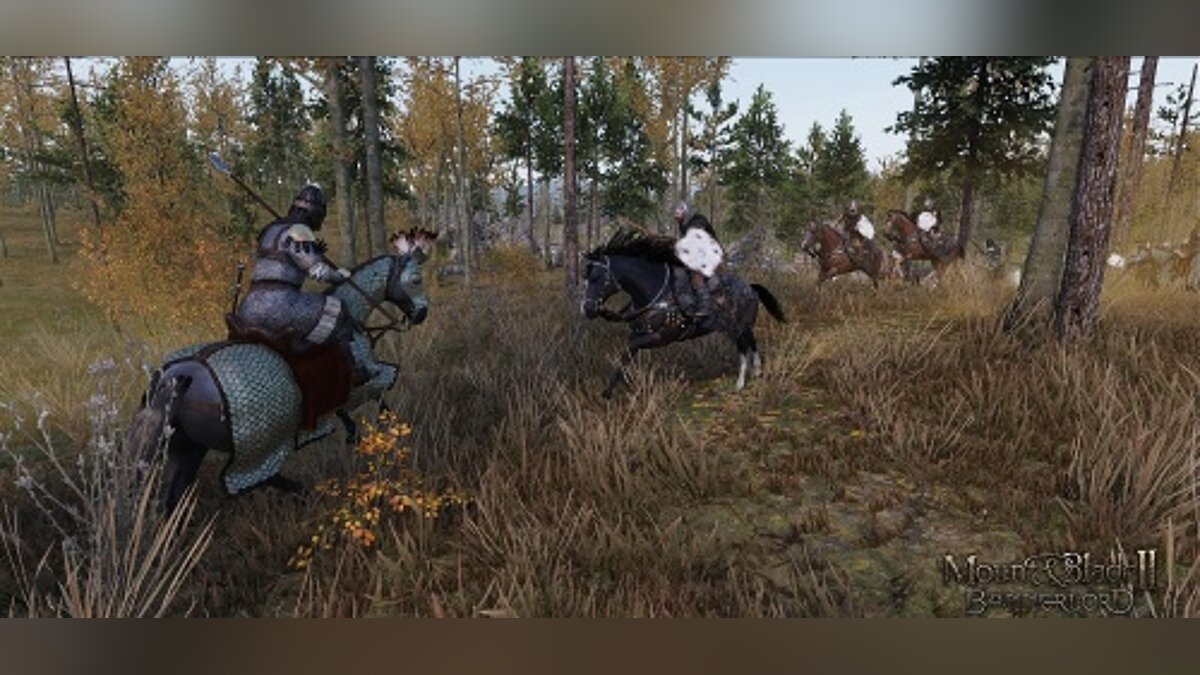 Mount &amp; Blade 2: Bannerlord — Speed ​​up time by 8 times