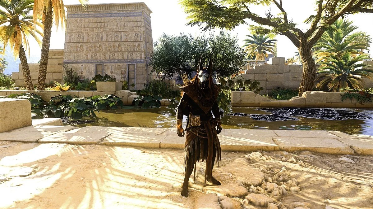 Assassin's Creed: Origins — Кінематографічна графіка