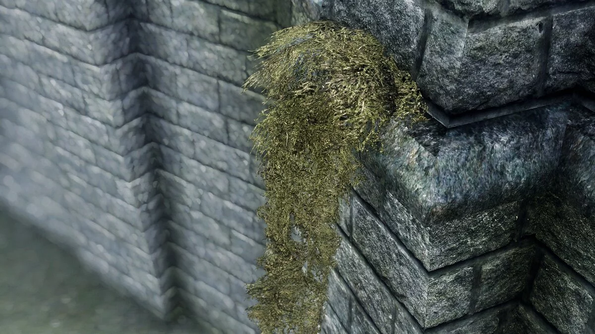 Elder Scrolls 5: Skyrim Special Edition — Висячий мох в 1К и 2К